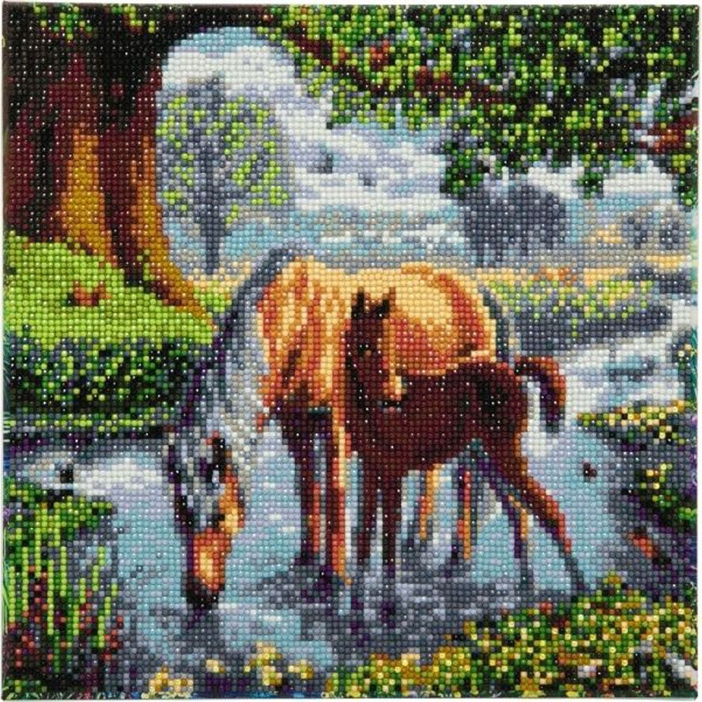 Crystal Art Ponyer 30×30 cm