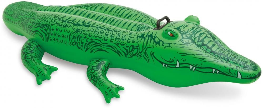 Krokodille oppustelig 168×86 cm.