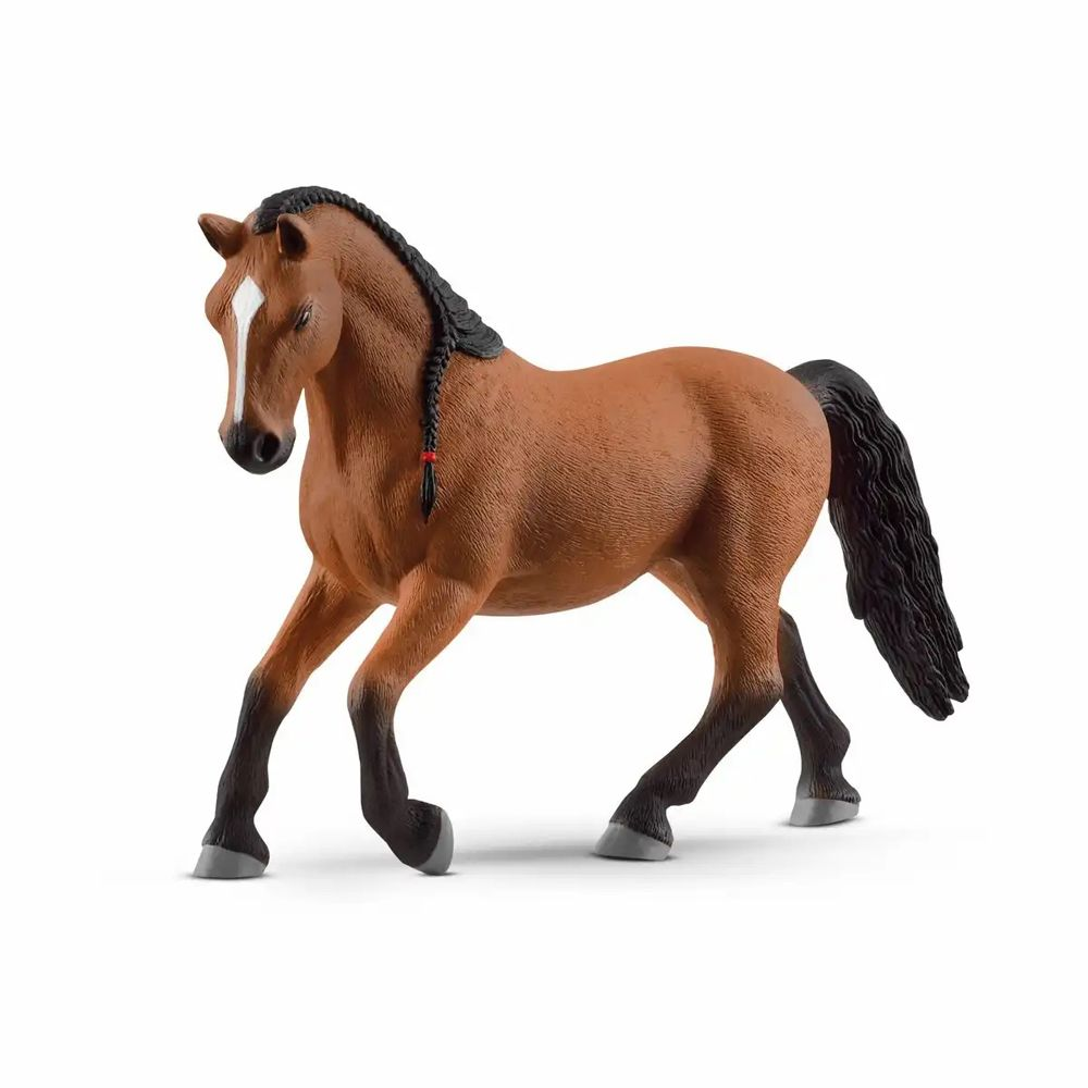 Lipizzaner-hoppe