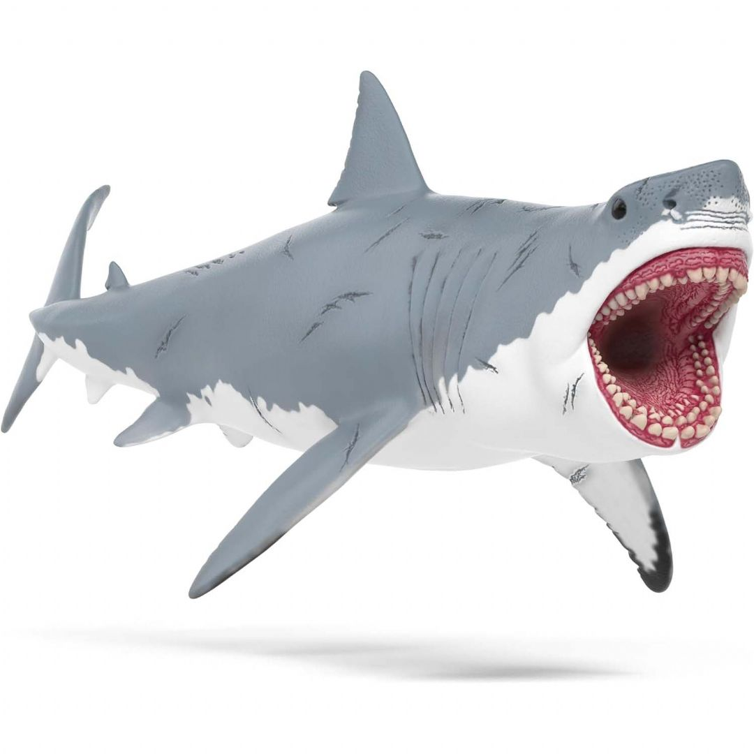 Megalodon