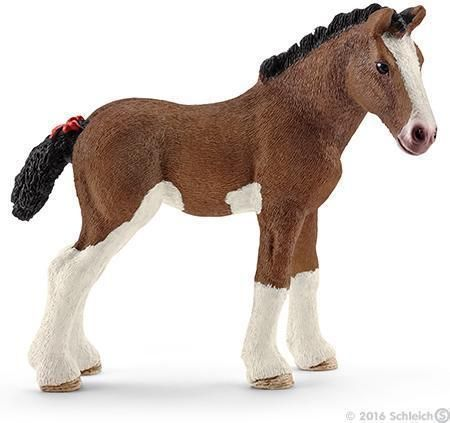 Clydesdale føl