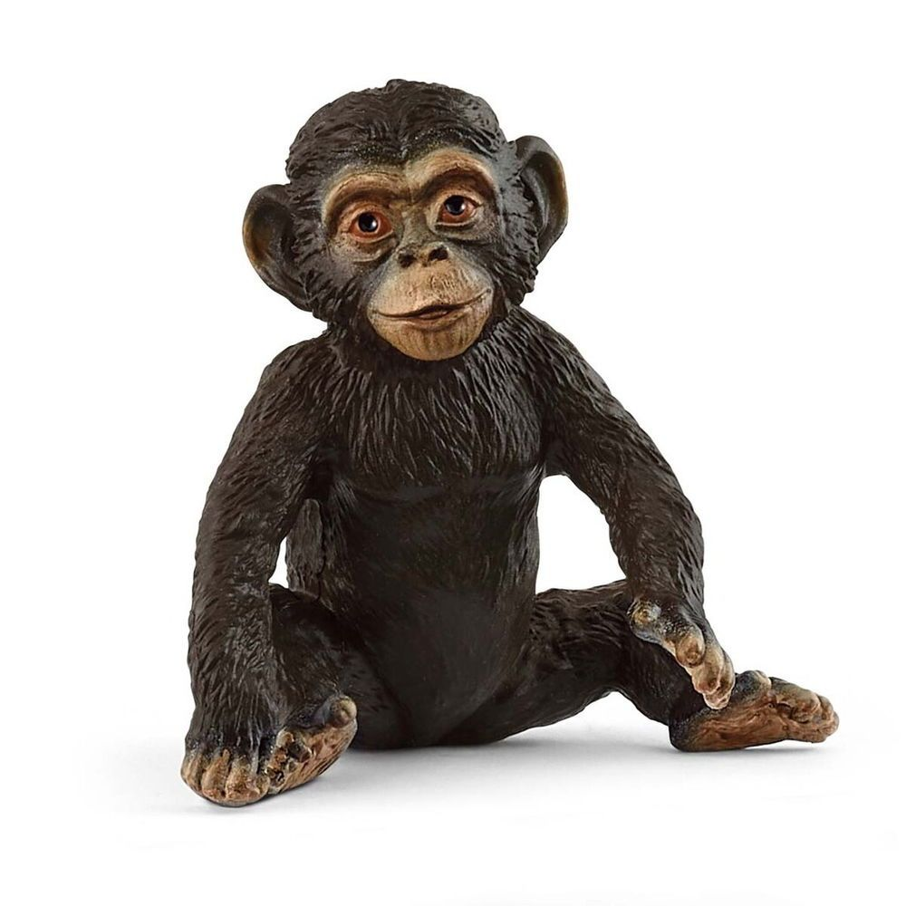 Chimpansee Ungdyr