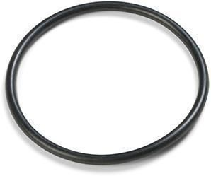 Intex o-ring 10262