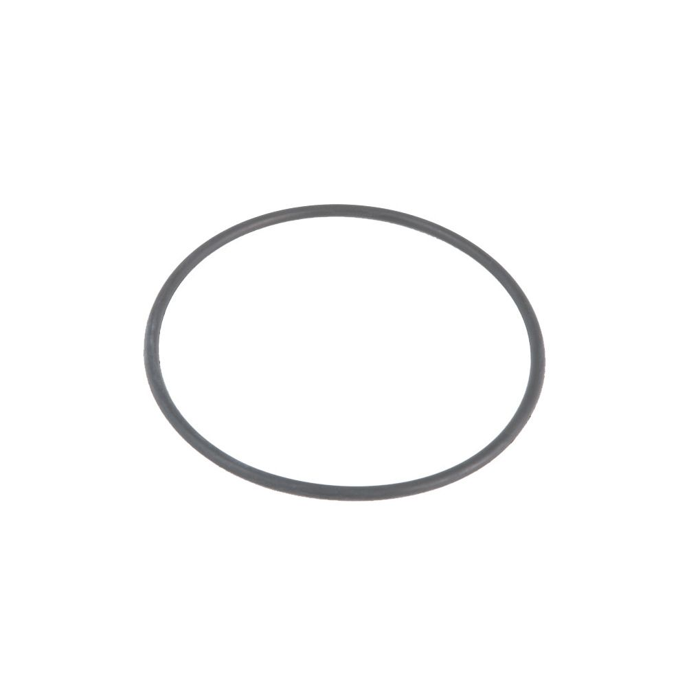 O-ring Filterhætte Sandfilter 5.678L