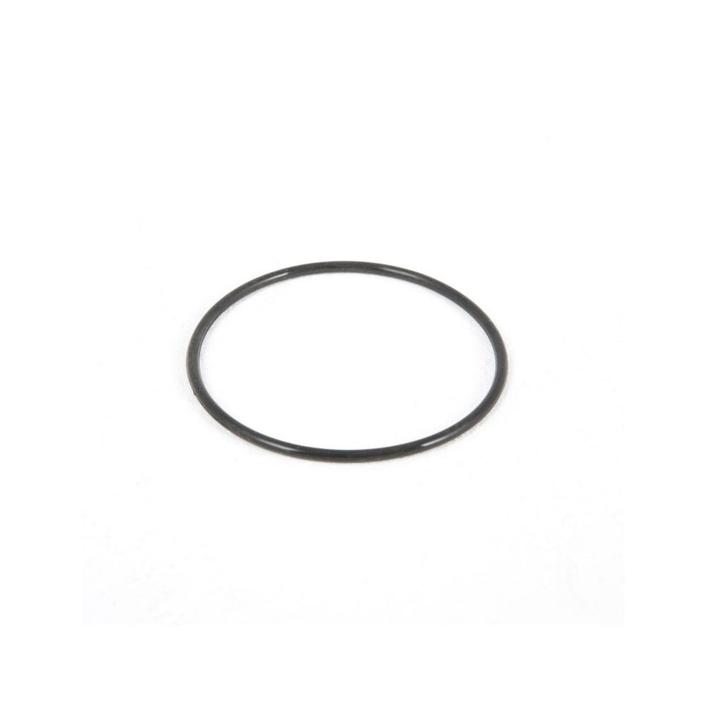 Strainer O-ring til Sandfilter 2.006L