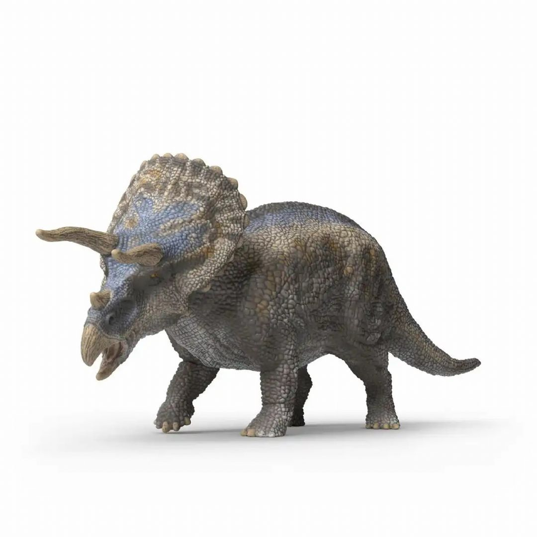 Triceratops