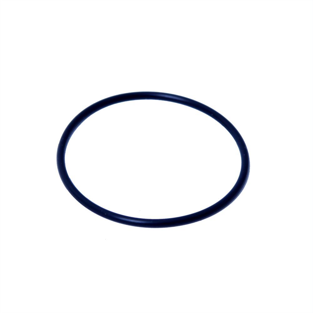 Intex Elektrode O-ring til 26676 og 2668