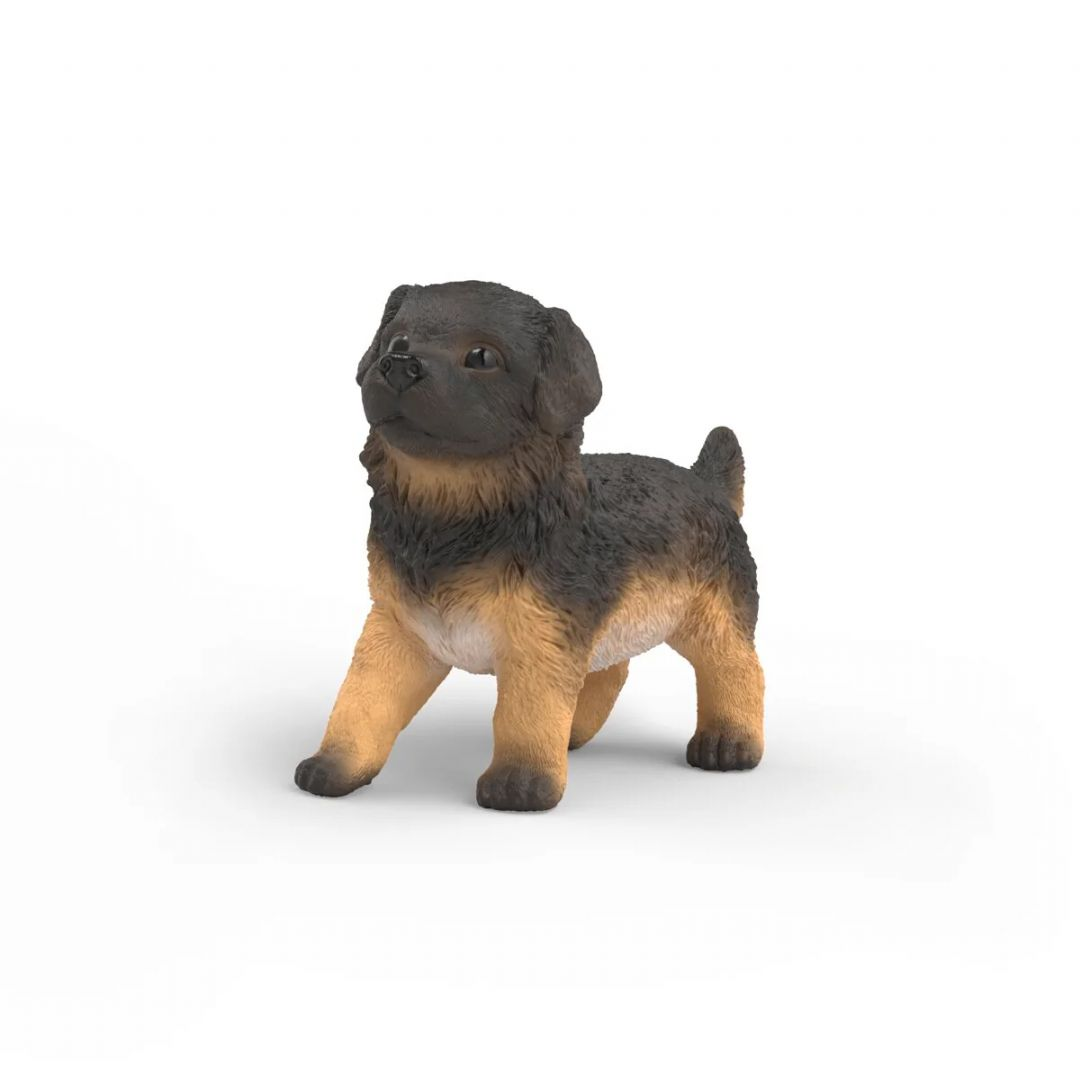 Tysk Schæferhund Hvalp
