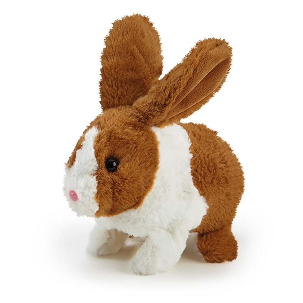 Happy Pets Happy Hoppy Kanin